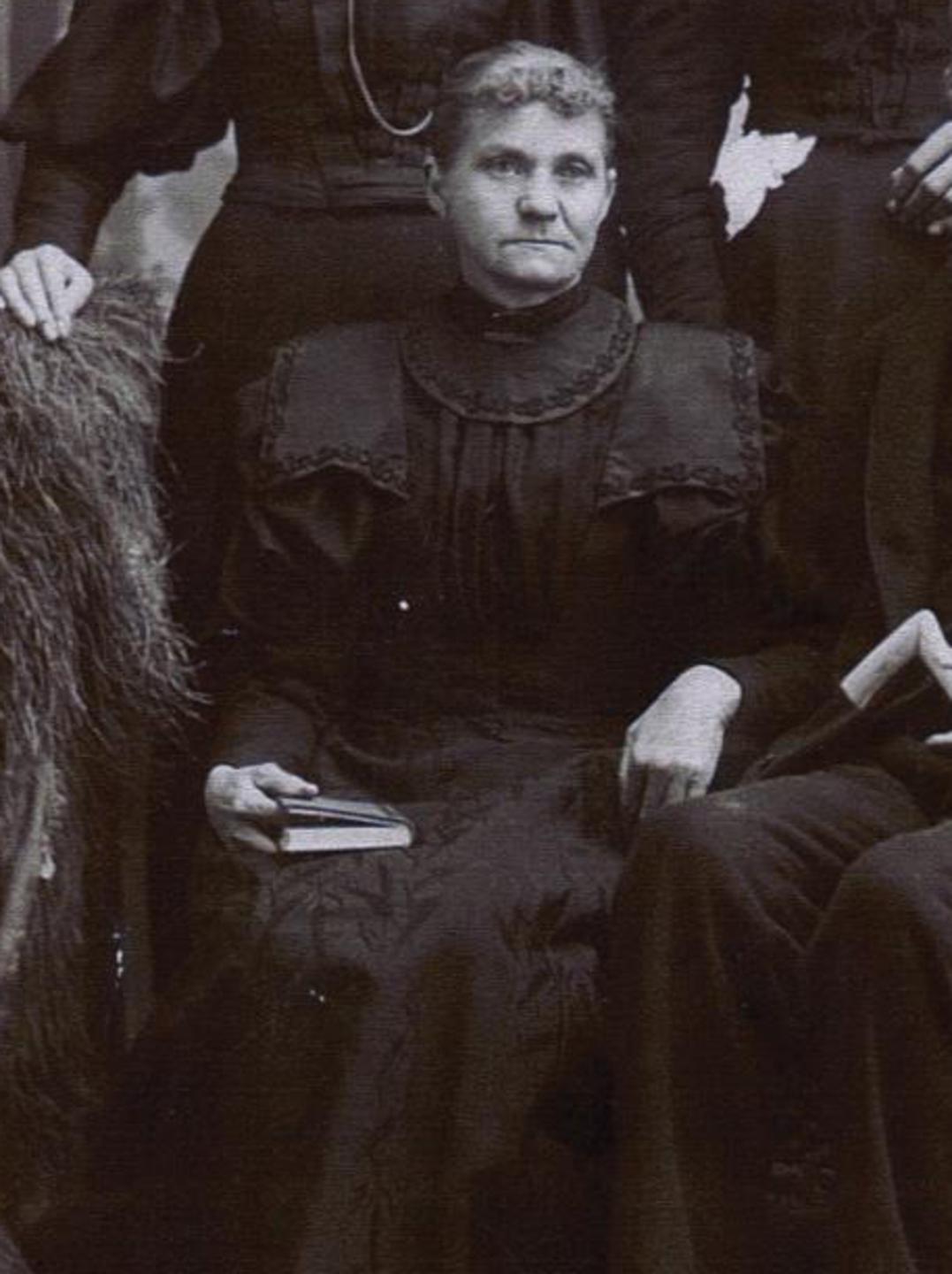 Mary E. Snow (1845 - 1919) Profile